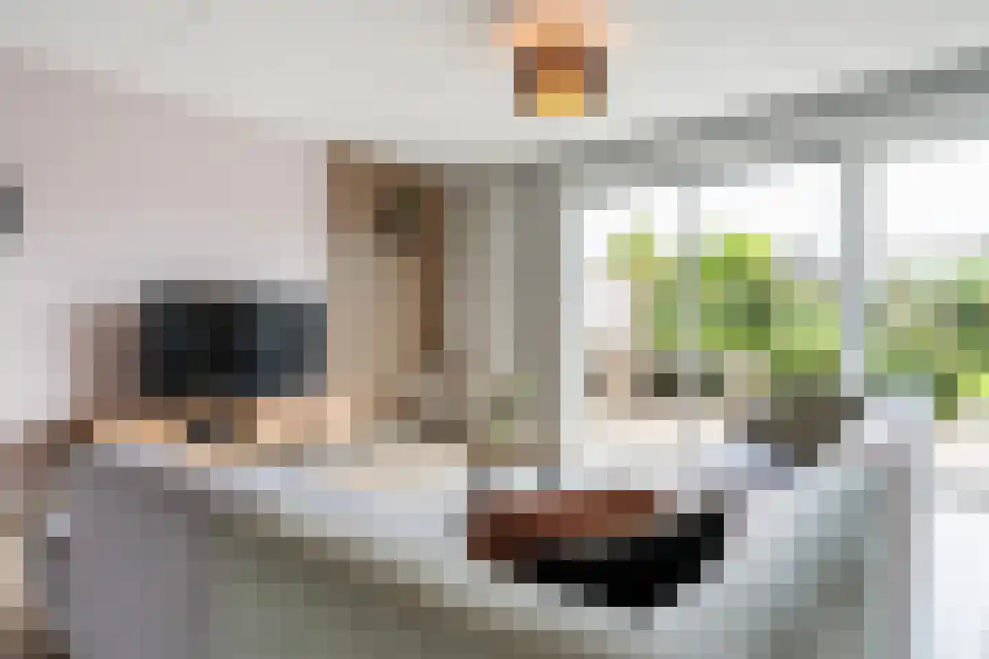 De Ynset 10 Leeuwarden thumbnail 18