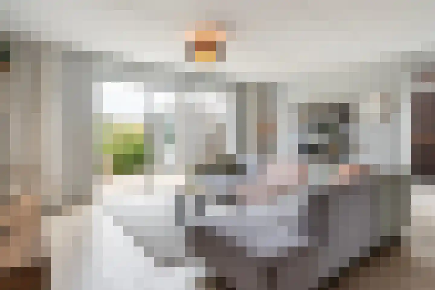 De Ynset 10 Leeuwarden thumbnail 19