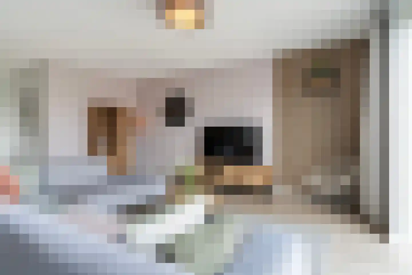 De Ynset 10 Leeuwarden thumbnail 21