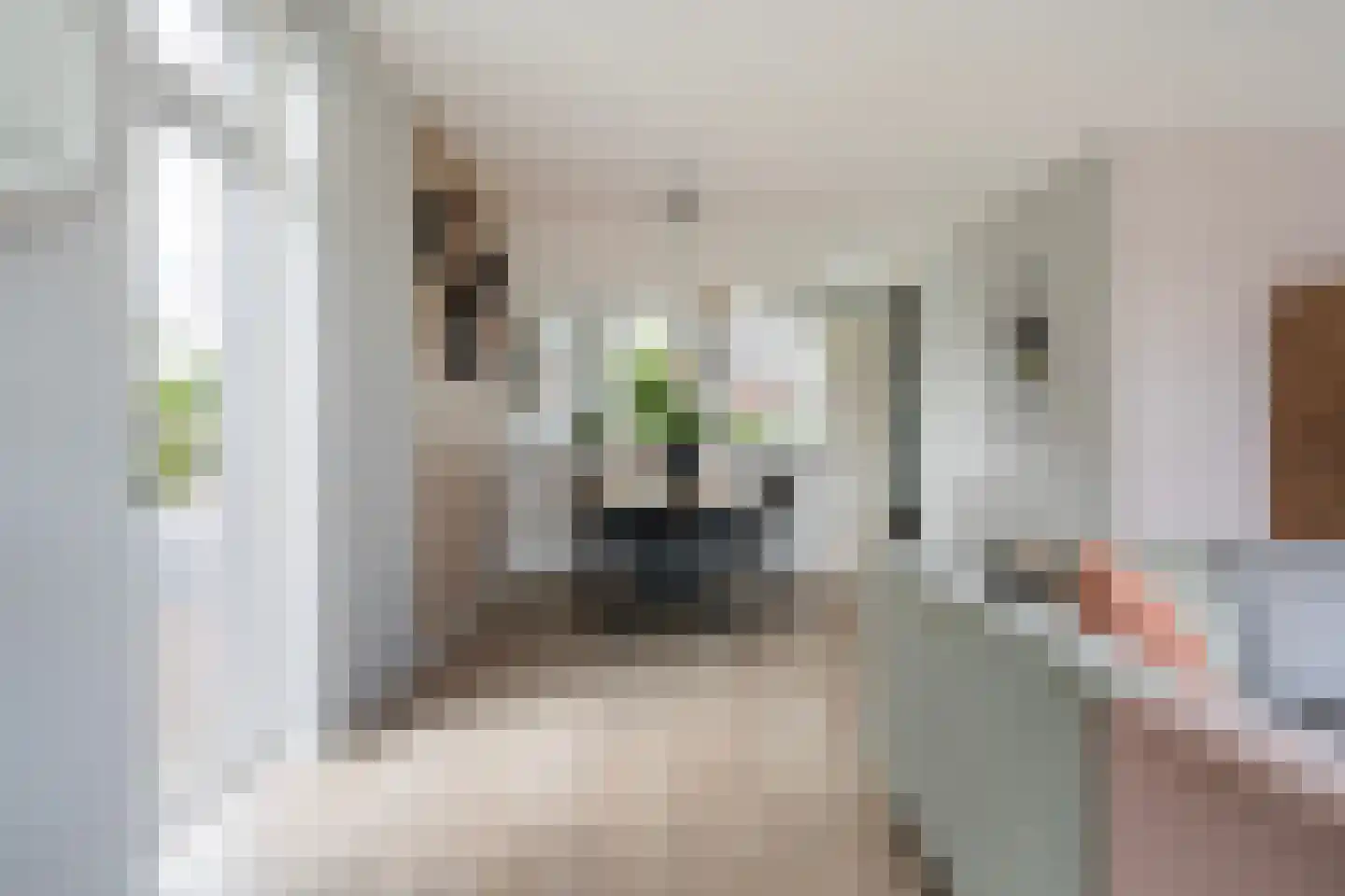 De Ynset 10 Leeuwarden thumbnail 32