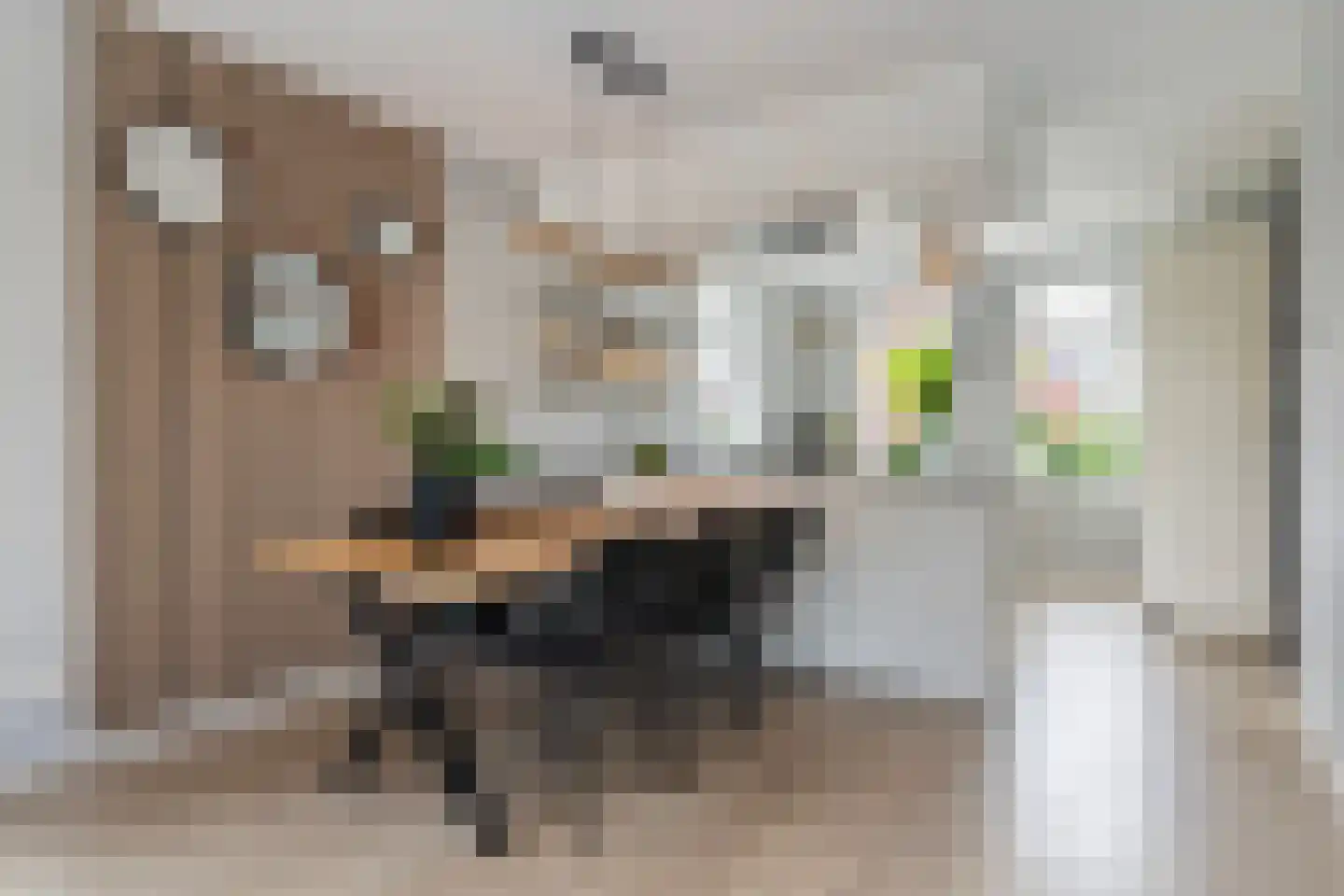 De Ynset 10 Leeuwarden thumbnail 33