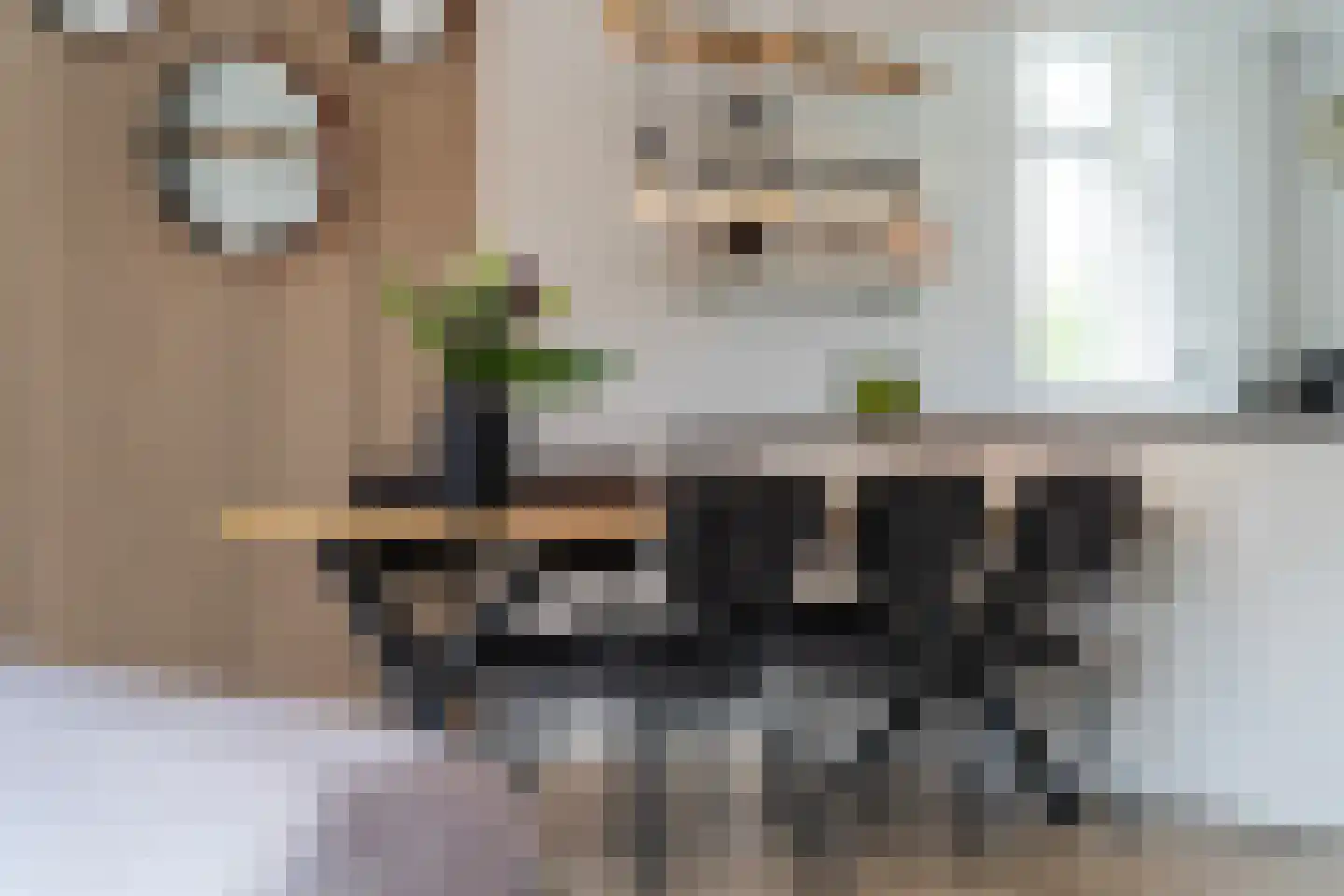 De Ynset 10 Leeuwarden thumbnail 34