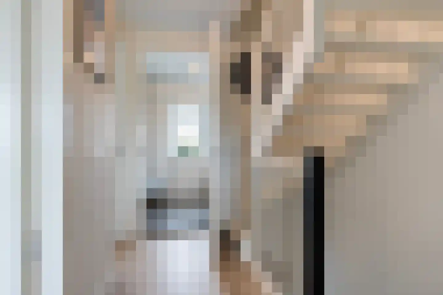 De Ynset 10 Leeuwarden thumbnail 40