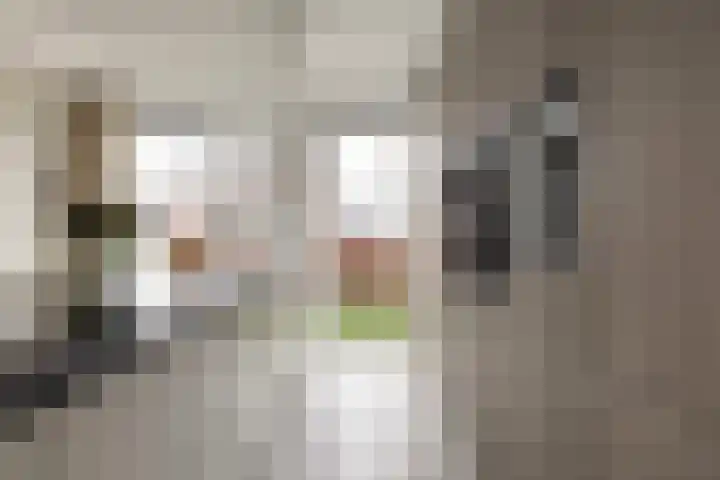 De Ynset 31 Leeuwarden thumbnail 21