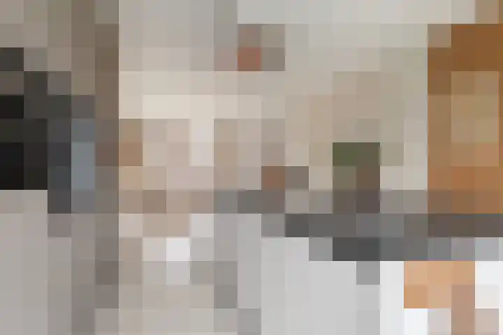 De Ynset 31 Leeuwarden thumbnail 22