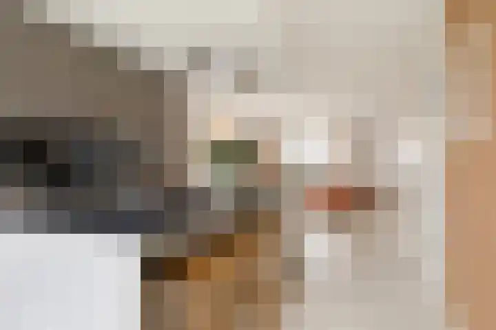 De Ynset 31 Leeuwarden thumbnail 23