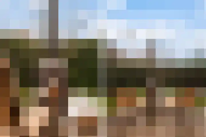 De Ynset 31 Leeuwarden thumbnail 29