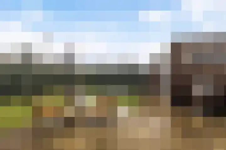 De Ynset 31 Leeuwarden thumbnail 31