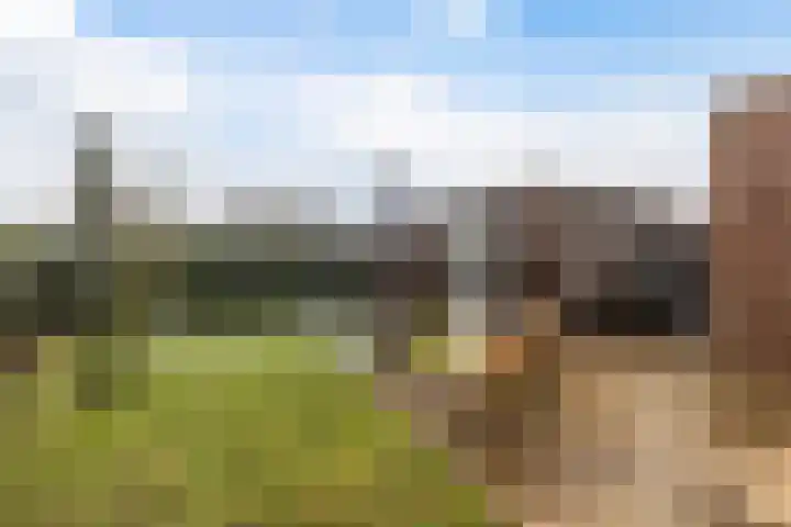 De Ynset 31 Leeuwarden thumbnail 32