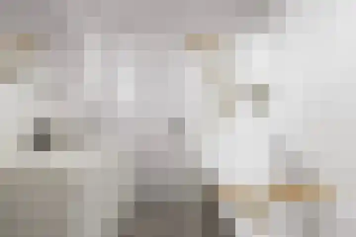 De Ynset 31 Leeuwarden thumbnail 38