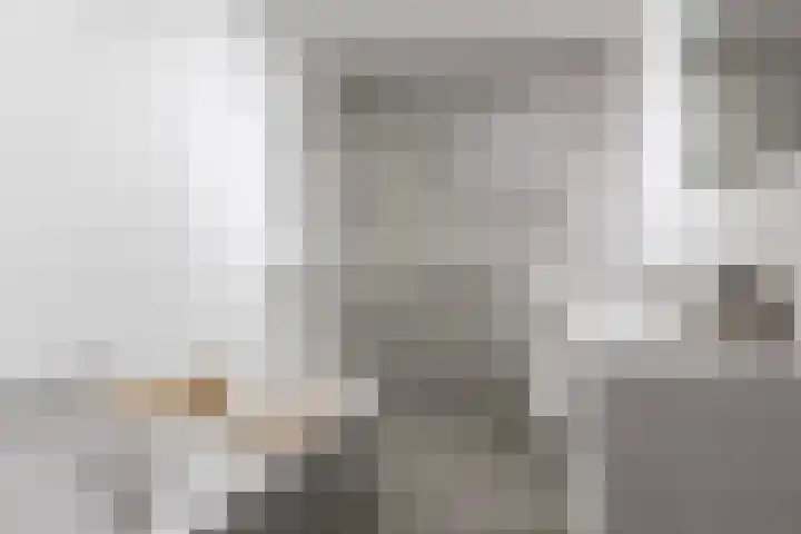 De Ynset 31 Leeuwarden thumbnail 4