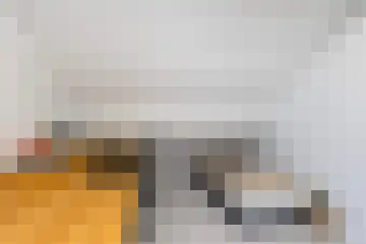 De Ynset 31 Leeuwarden thumbnail 44