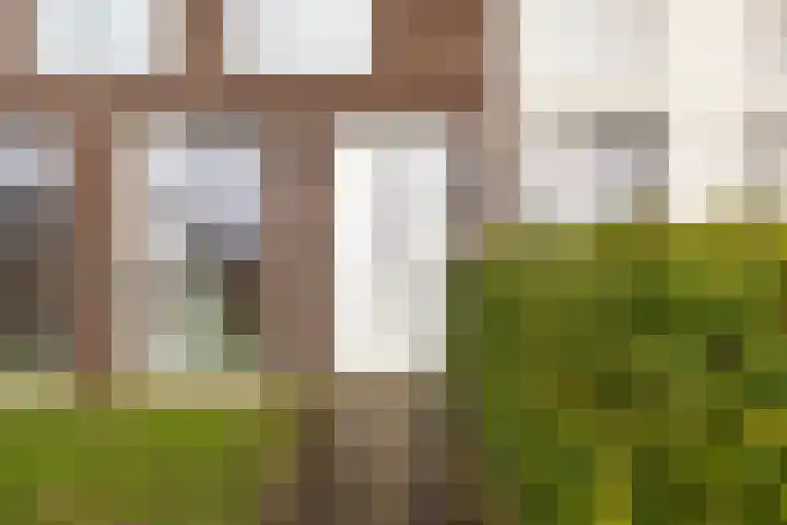 De Ynset 31 Leeuwarden thumbnail 5