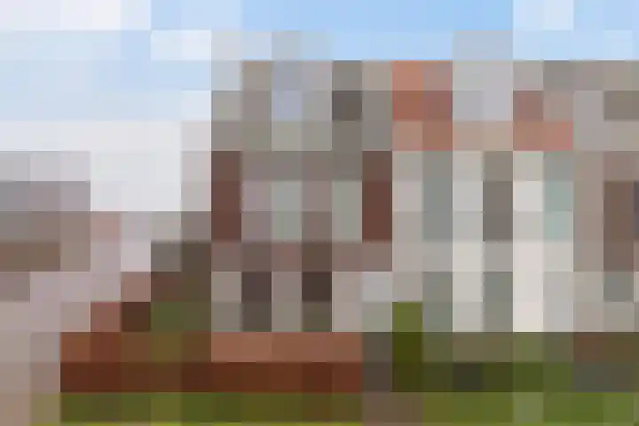De Ynset 31 Leeuwarden thumbnail 50