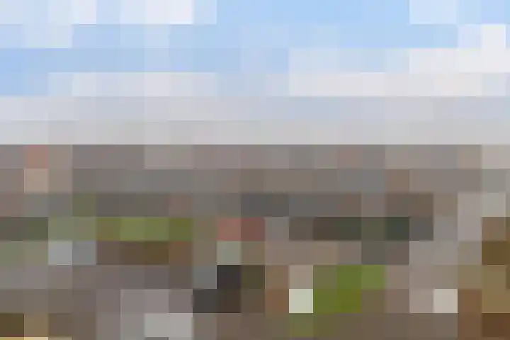 De Ynset 31 Leeuwarden thumbnail 51