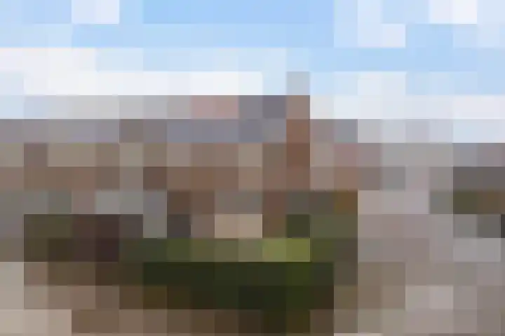 De Ynset 31 Leeuwarden thumbnail 52