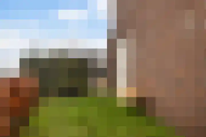De Ynset 31 Leeuwarden thumbnail 6