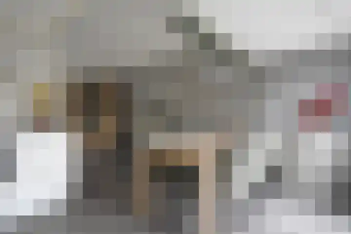 De Yp 10 Burgum thumbnail 29