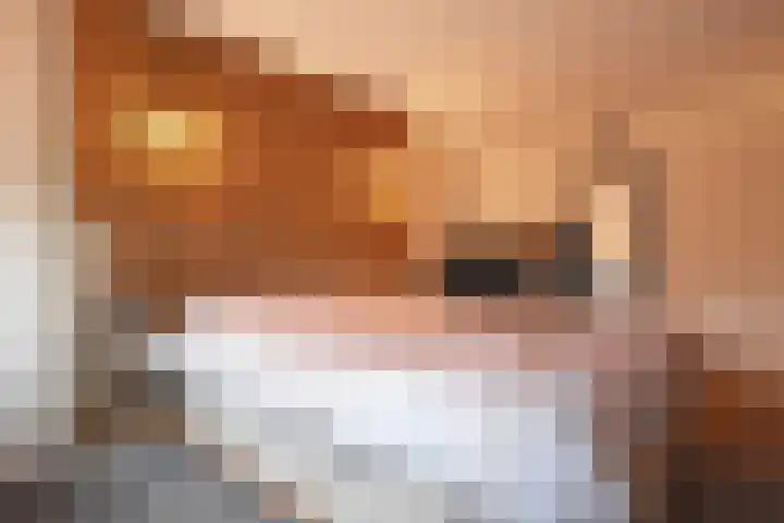 De Yp 10 Burgum thumbnail 42