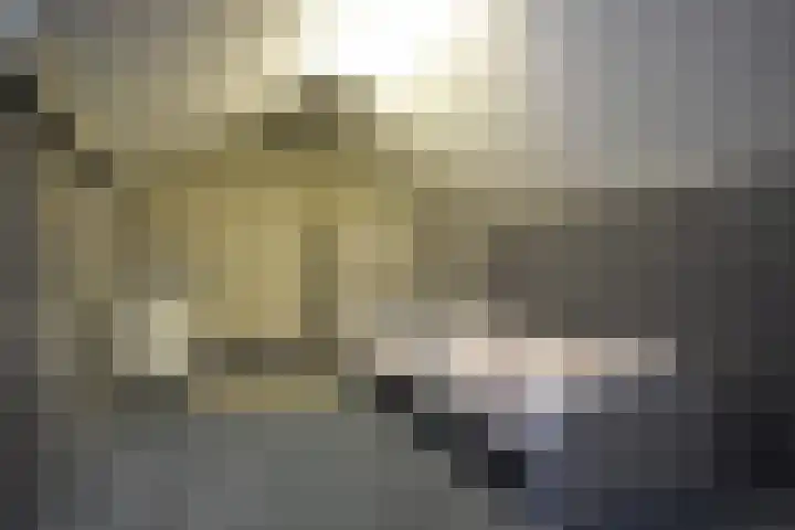 De Yp 10 Burgum thumbnail 49