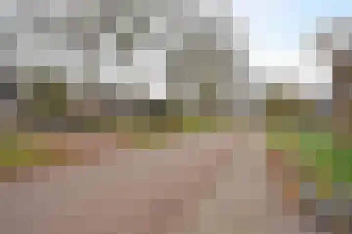 De Yp 10 Burgum thumbnail 5