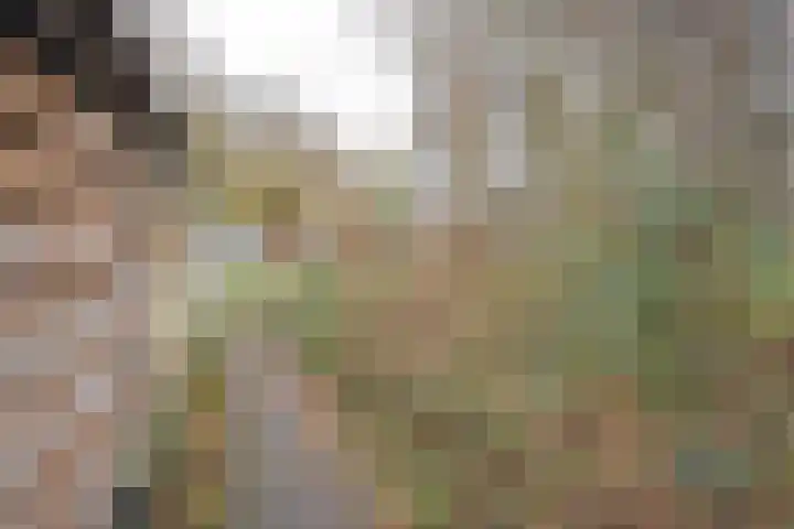 De Yp 10 Burgum thumbnail 6