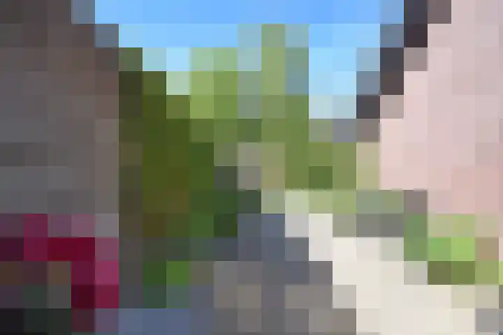 De Yp 44 Burgum thumbnail 10