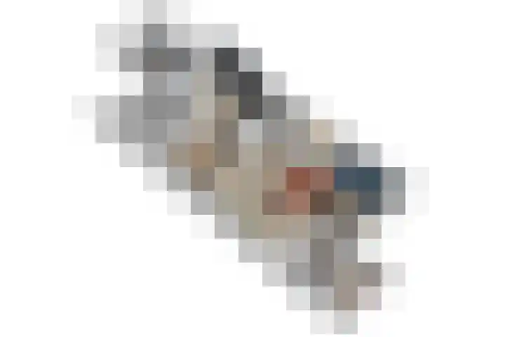 De Yp 44 Burgum thumbnail 11