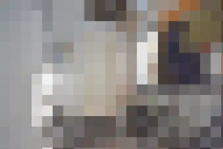 De Yp 44 Burgum thumbnail 28