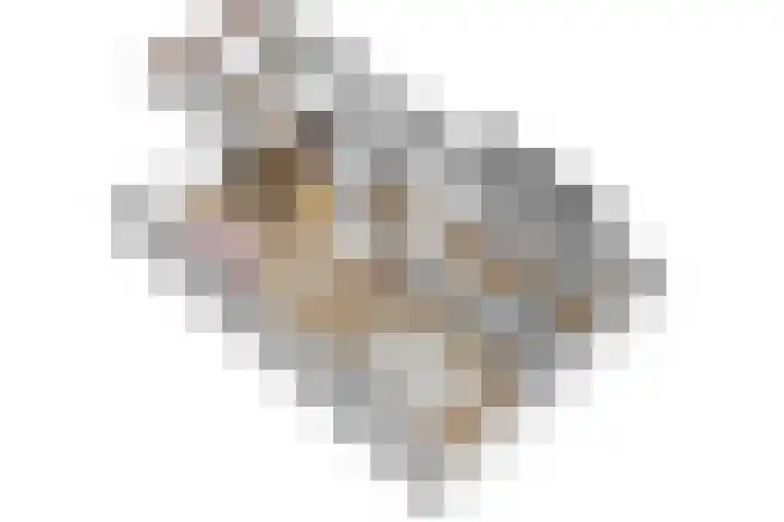 De Yp 44 Burgum thumbnail 29