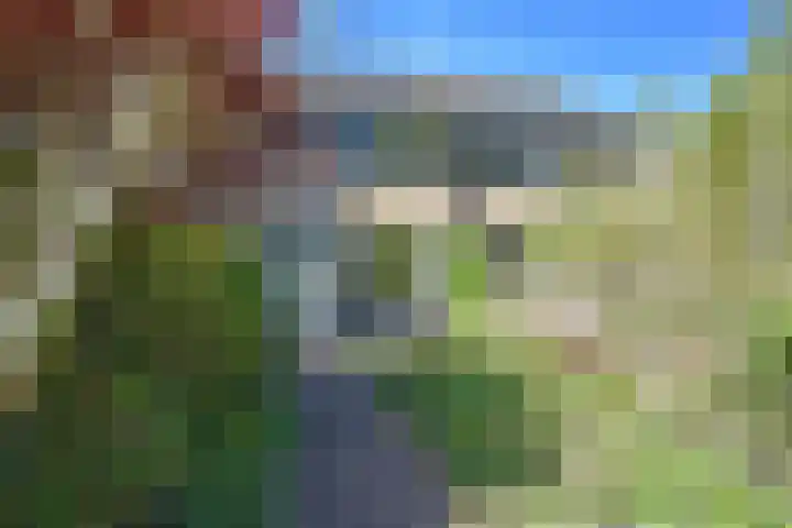 De Yp 44 Burgum thumbnail 4