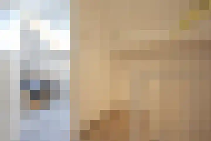 De Yp 44 Burgum thumbnail 45