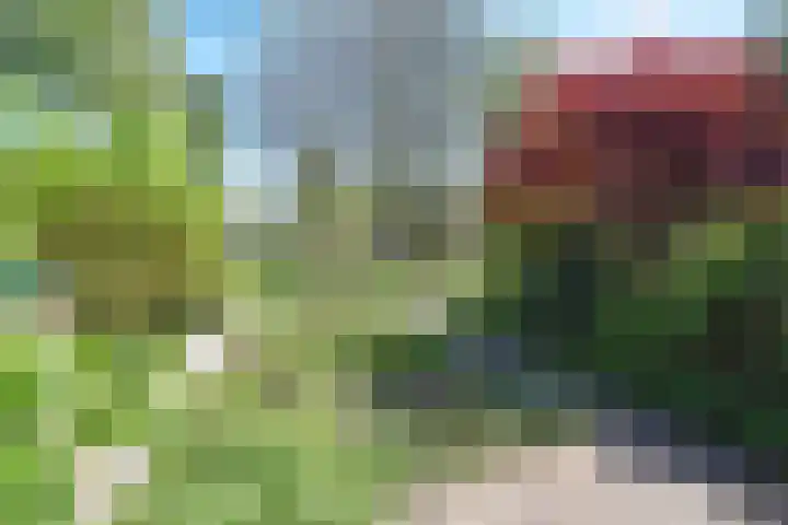 De Yp 44 Burgum thumbnail 5