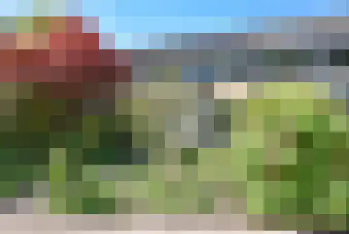 De Yp 44 Burgum thumbnail 52