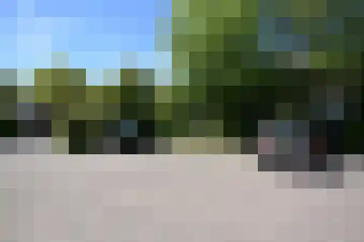 De Yp 44 Burgum thumbnail 6