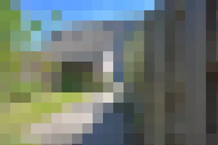 De Yp 44 Burgum thumbnail 7