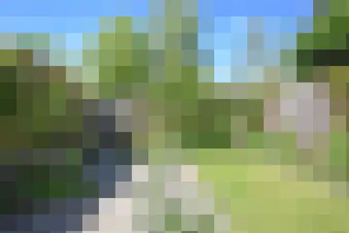 De Yp 44 Burgum thumbnail 9