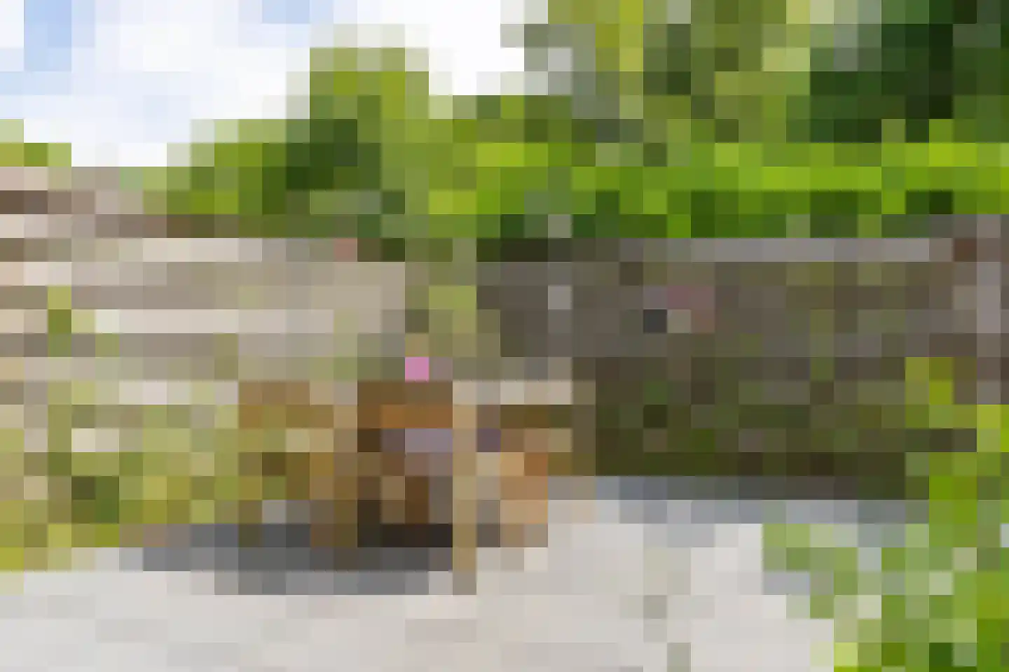 De Yp 74 Burgum thumbnail 28