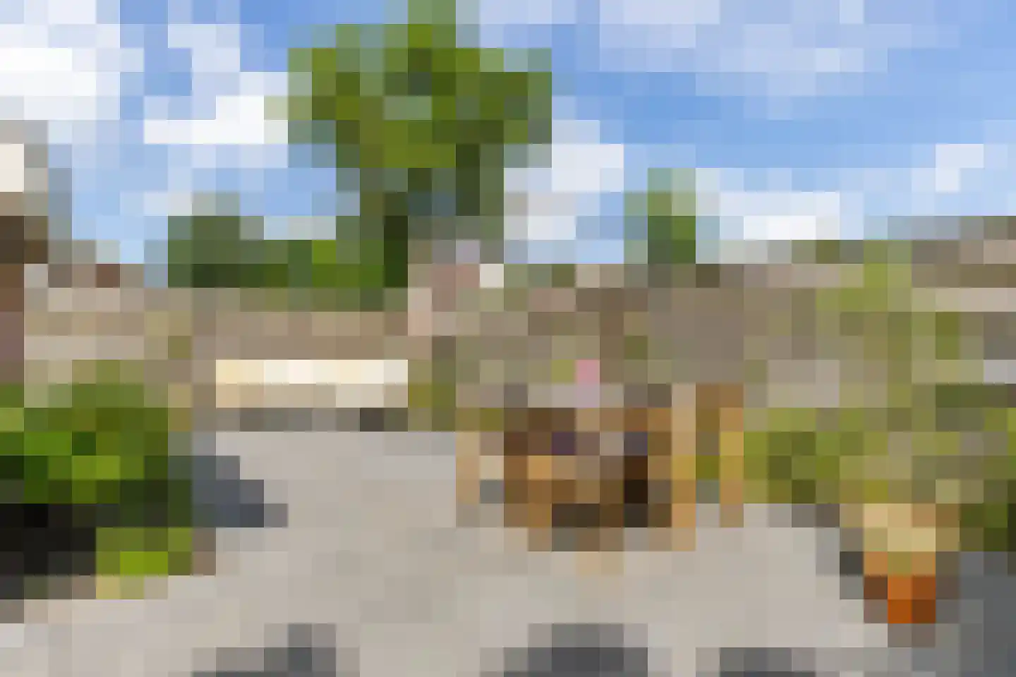 De Yp 74 Burgum thumbnail 31