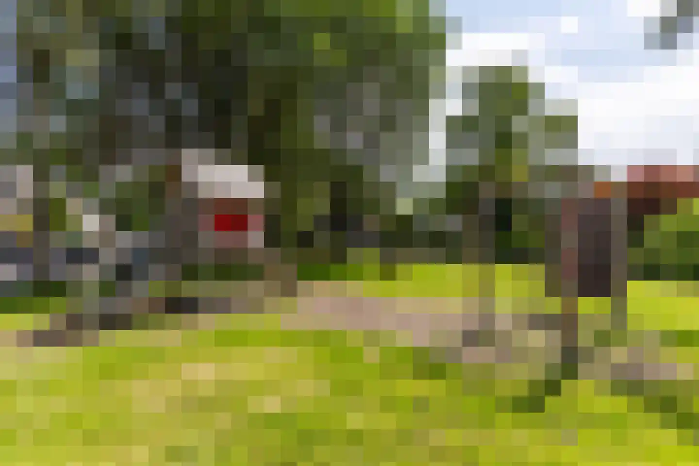 De Yp 74 Burgum thumbnail 52