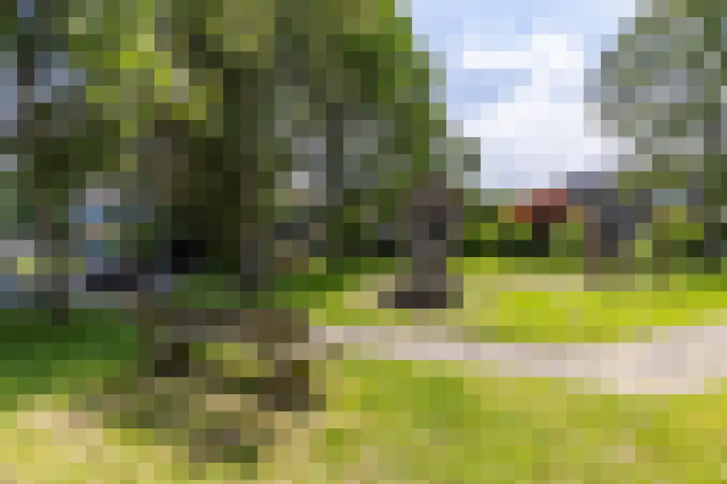 De Yp 74 Burgum thumbnail 53