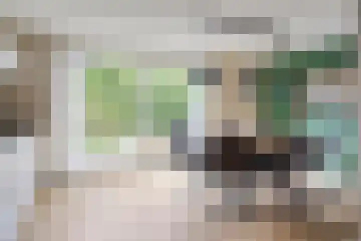 De Yp 94 Burgum thumbnail 16