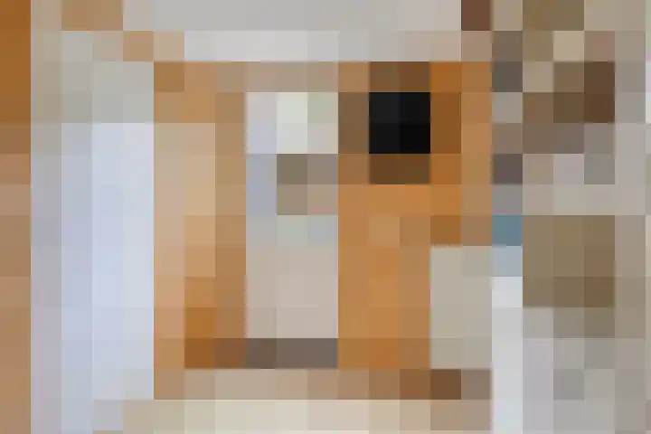 De Yp 94 Burgum thumbnail 24