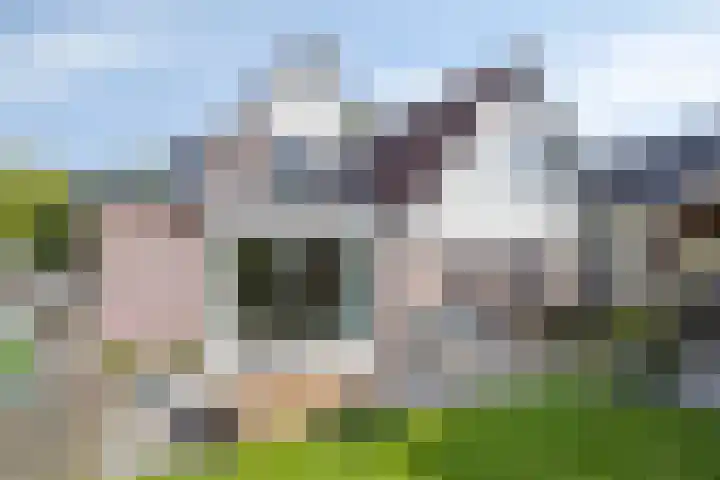 De Yp 94 Burgum thumbnail 44