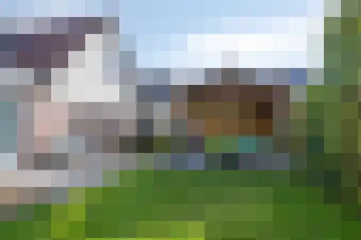 De Yp 94 Burgum thumbnail 45