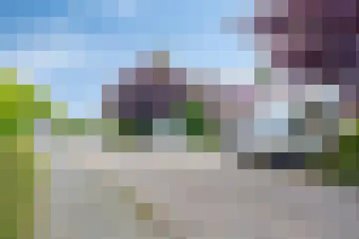 De Yp 94 Burgum thumbnail 48