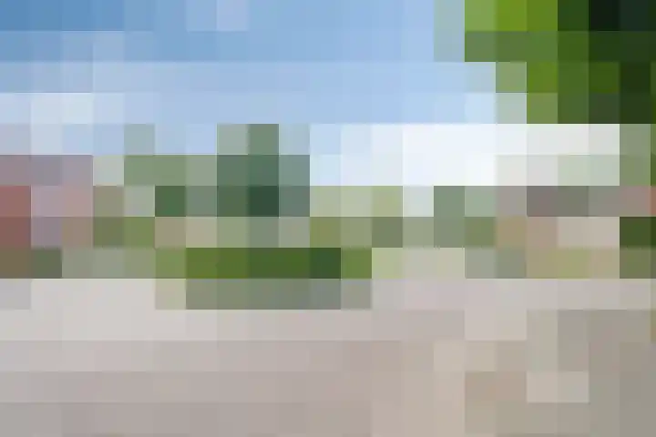 De Yp 94 Burgum thumbnail 49