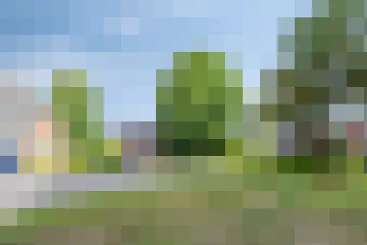 De Yp 94 Burgum thumbnail 51