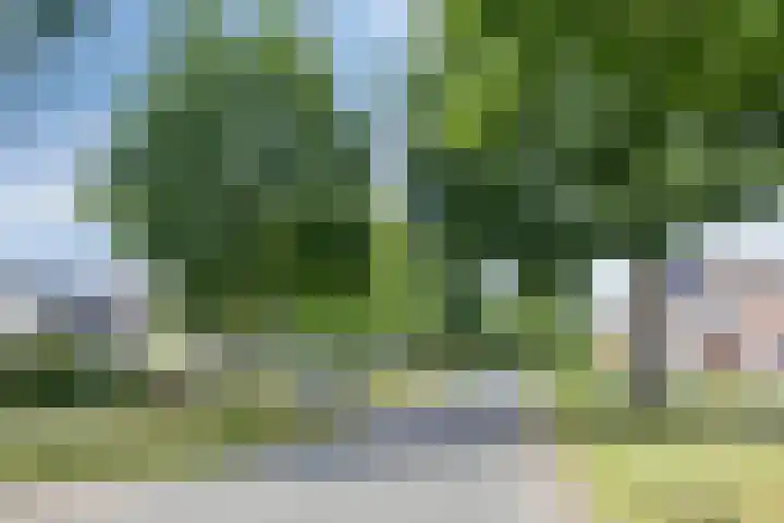 De Yp 94 Burgum thumbnail 52