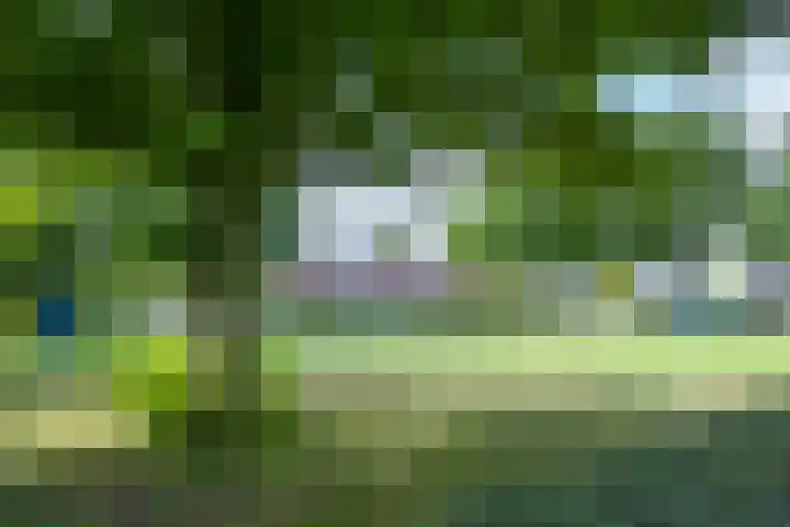 De Yp 94 Burgum thumbnail 53